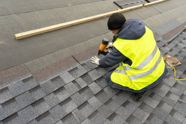 Best Roof Waterproofing Services  in La Feria, TX