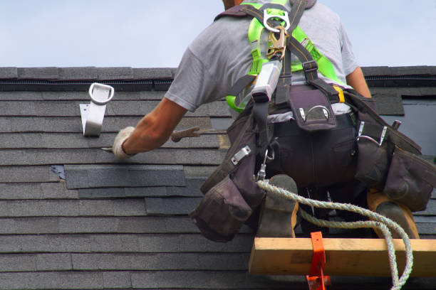 Best Roof Gutter Cleaning  in La Feria, TX