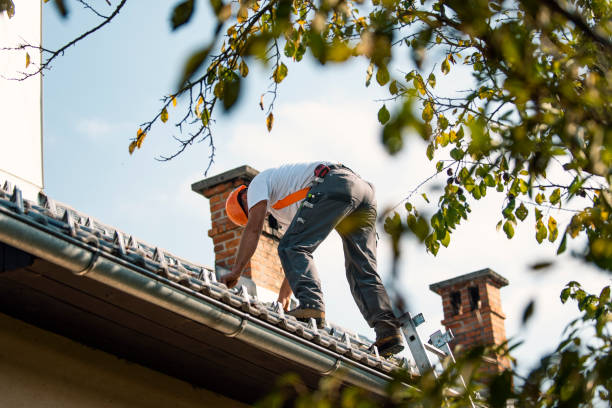 Best Residential Roofing Contractor  in La Feria, TX