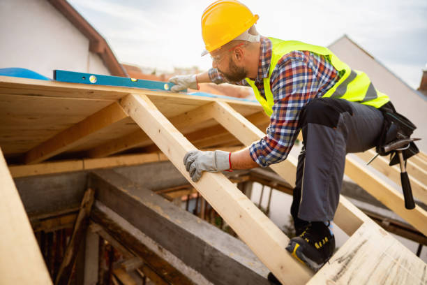 Best New Roof Installation  in La Feria, TX