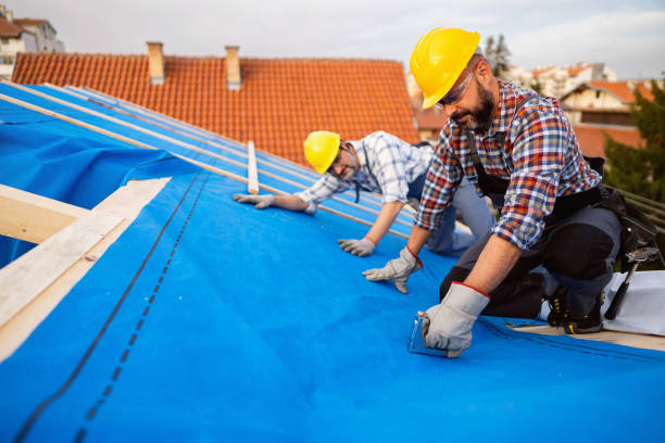 Best New Roof Installation  in La Feria, TX