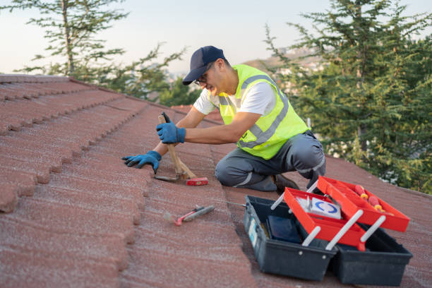 Best Roof Maintenance Services  in La Feria, TX