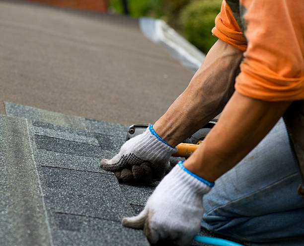 Best Residential Roofing Contractor  in La Feria, TX