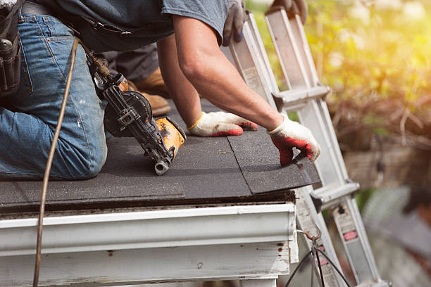 Best Emergency Roof Repair  in La Feria, TX