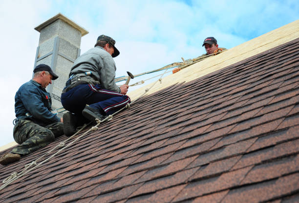 Best Affordable Roofing Company  in La Feria, TX